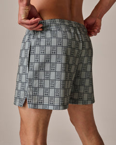 Mens Mesh Short in Sage